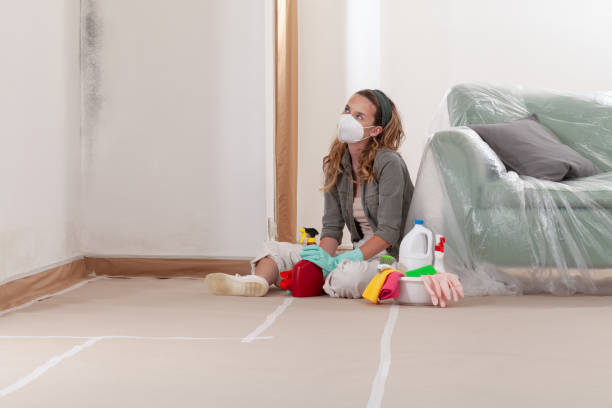 Reliable Commercial Mold Remediation contractor in Middlesex, NJ by Mold Remediation HQ